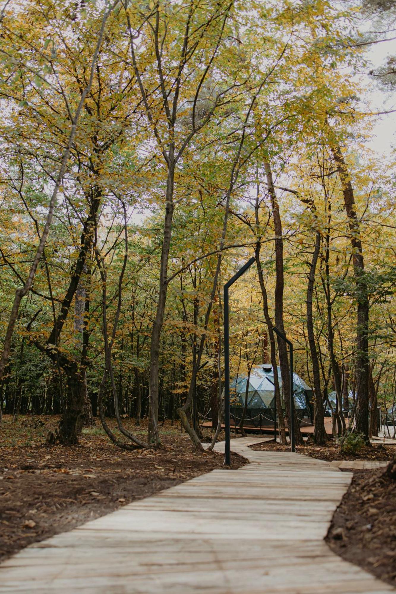 Dream Park Gyulagarak Exterior foto